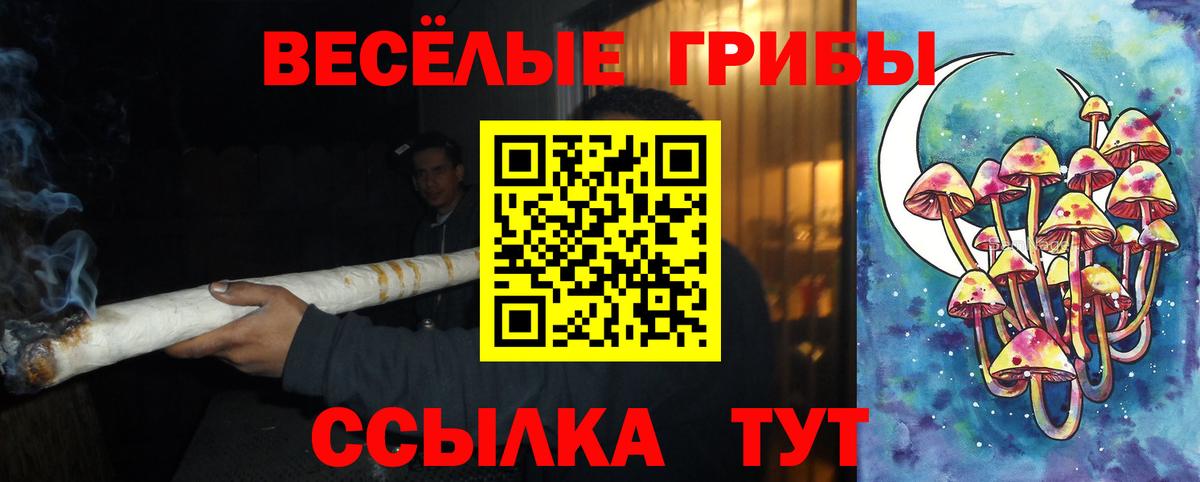купить   Псилоцибиновые грибы прущие грибы  Вход с VPN  Елизово 